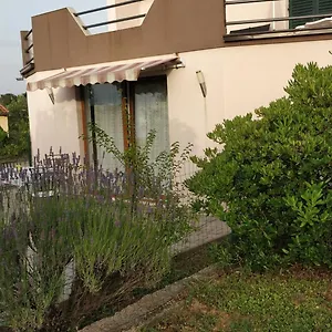 Lavinia Apartament